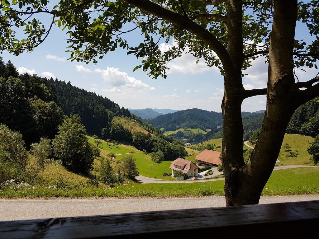 Hotel 3 Koenige Oberwolfach ภายนอก รูปภาพ